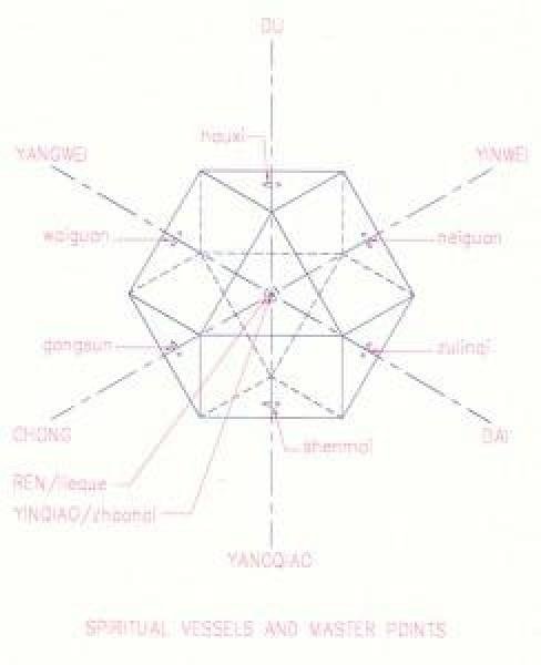 向量平衡和傳統醫學也有關聯，繪製出了用於針灸的能量脈絡系統1.jpg