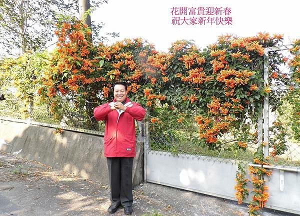 春節拜年.jpg