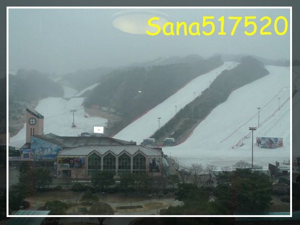 PhotoCap_003.jpg