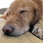 IMG_0168.jpg