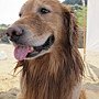 IMG_0172.jpg