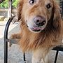 IMG_0227.jpg