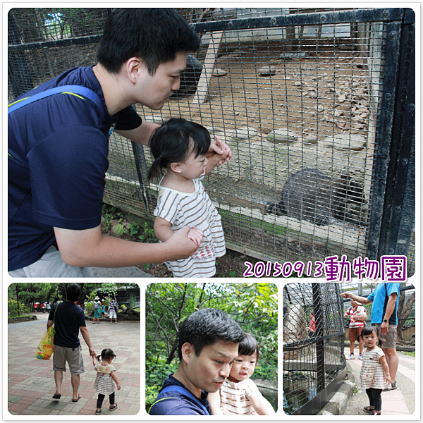 0913動物園玩沙2.png