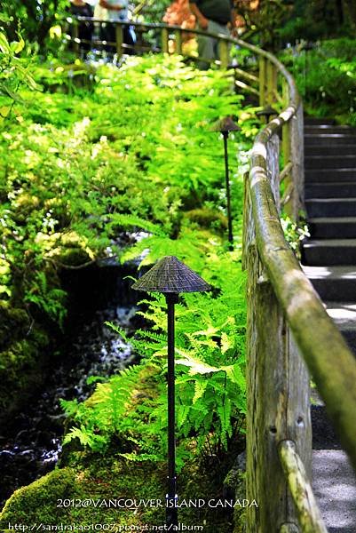 Vancouver island- The Butchart Garden