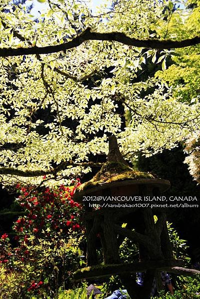 Vancouver island- The Butchart Garden