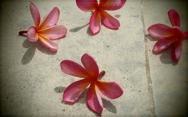 201009巴里島8.jpg
