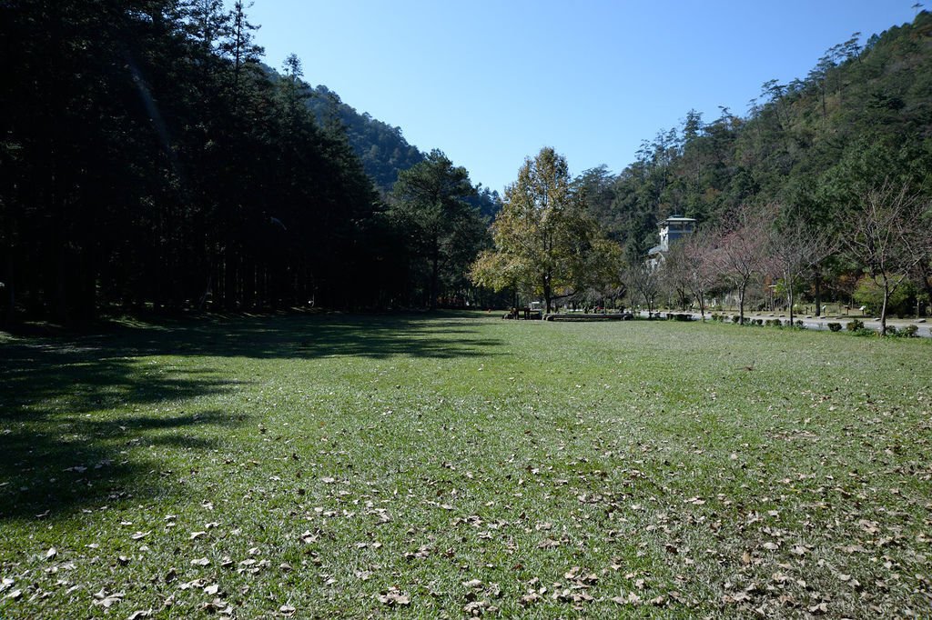 105.01.25_180.JPG