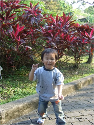 DSCF4515.JPG