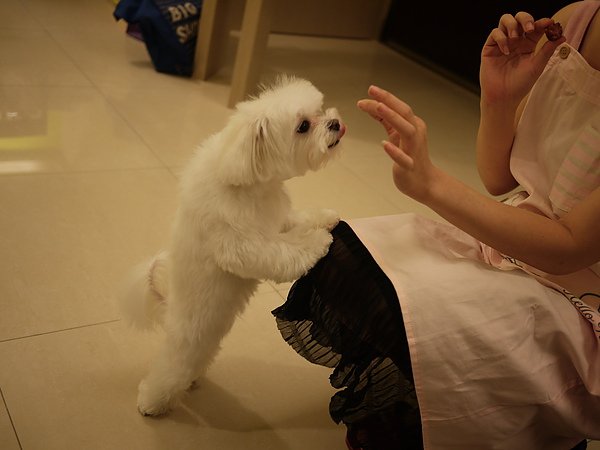 P1010662.JPG