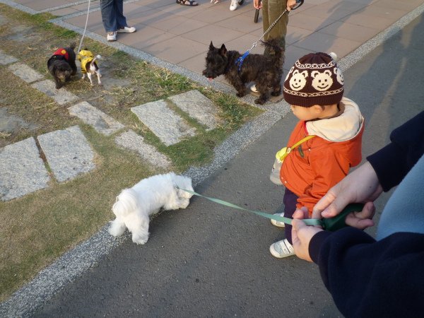 屁屁1.JPG
