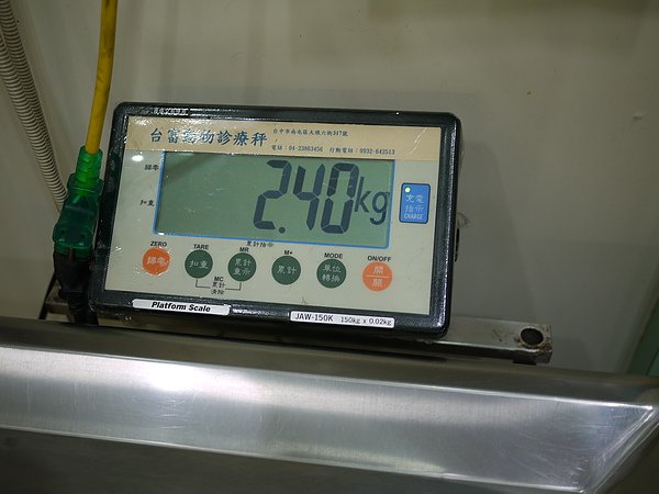 P1000536.JPG