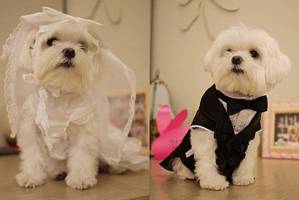 結婚.jpg