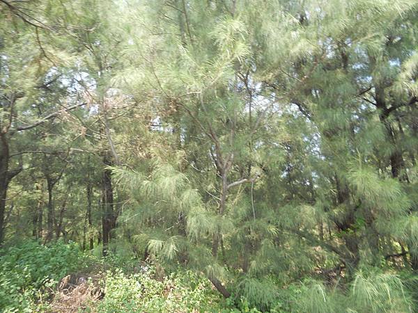 DSCN4649.JPG
