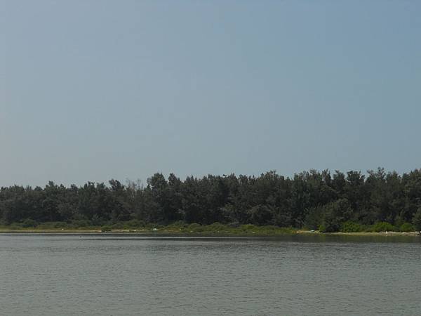DSCN4658