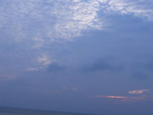 DSCN5075