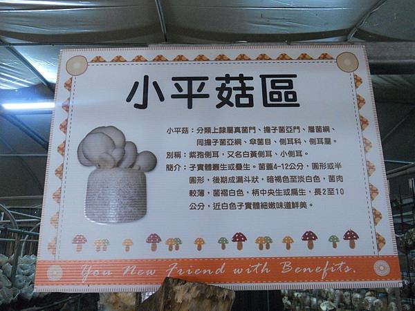 DSCN7078.JPG