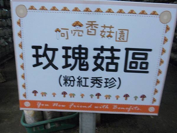 DSCN7079.JPG