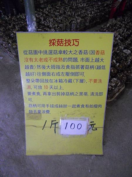 DSCN7095