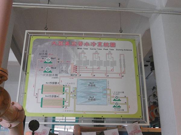 DSCN7806.jpg
