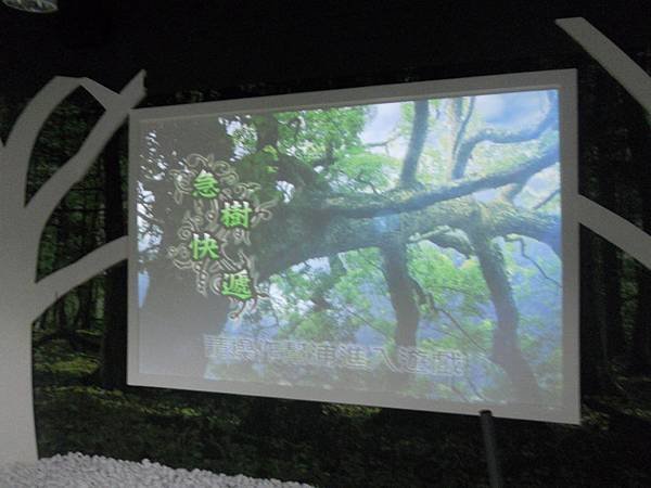 DSCN1731.jpg