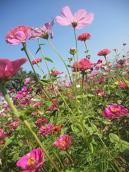 DSCN4159.jpg