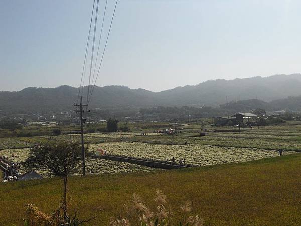 DSCN4176.jpg