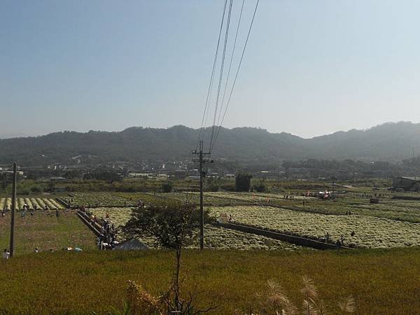 DSCN4177.jpg