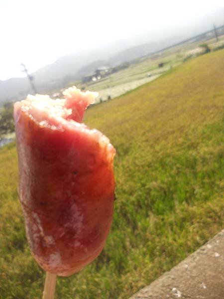 DSCN4184.jpg