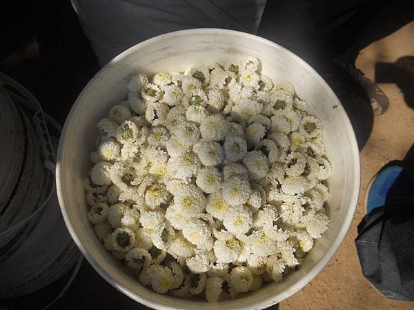 DSCN4188.jpg