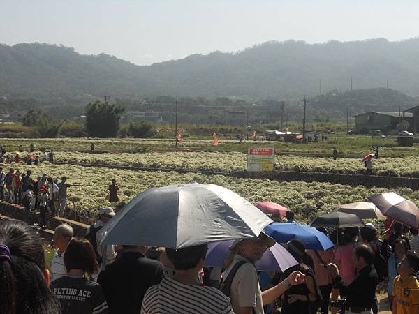 DSCN4186.jpg