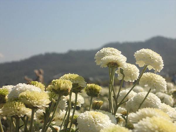 DSCN4203.jpg