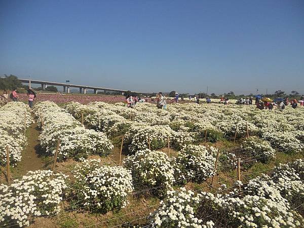 DSCN4207.jpg