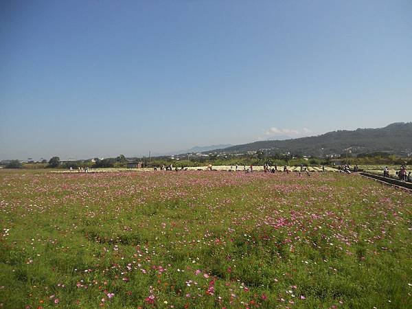 DSCN4221.jpg