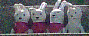 1.GIF