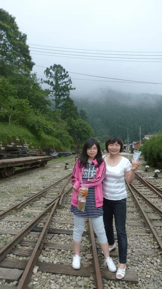 奮起湖火車餅 天美珍中秋月餅