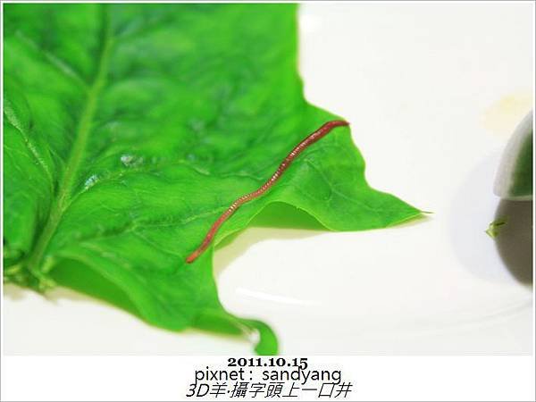 nEO_IMG_IMG_6462.jpg