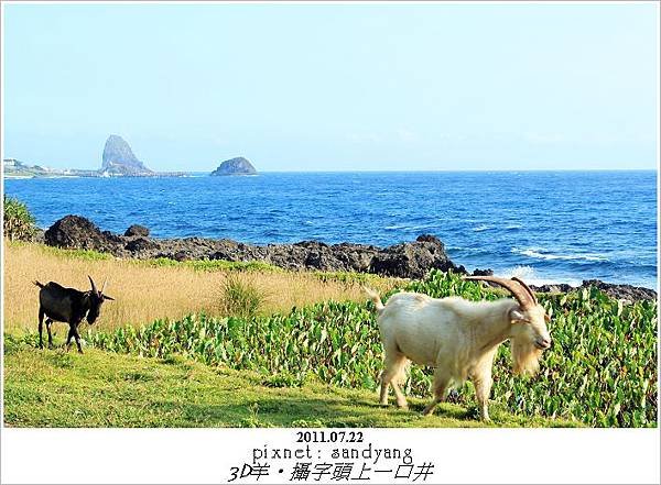 nEO_IMG_IMG_0505