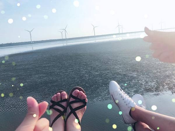高美濕地