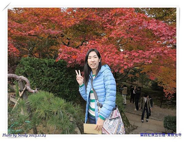 nEO_IMG_IMG_2391