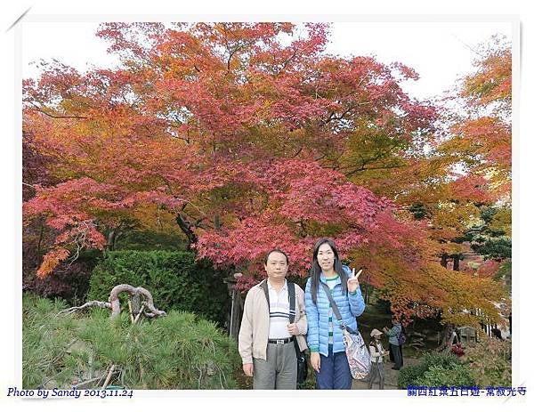 nEO_IMG_IMG_2395