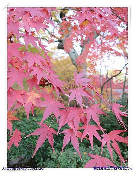 nEO_IMG_IMG_2412