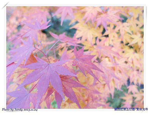 nEO_IMG_IMG_2416