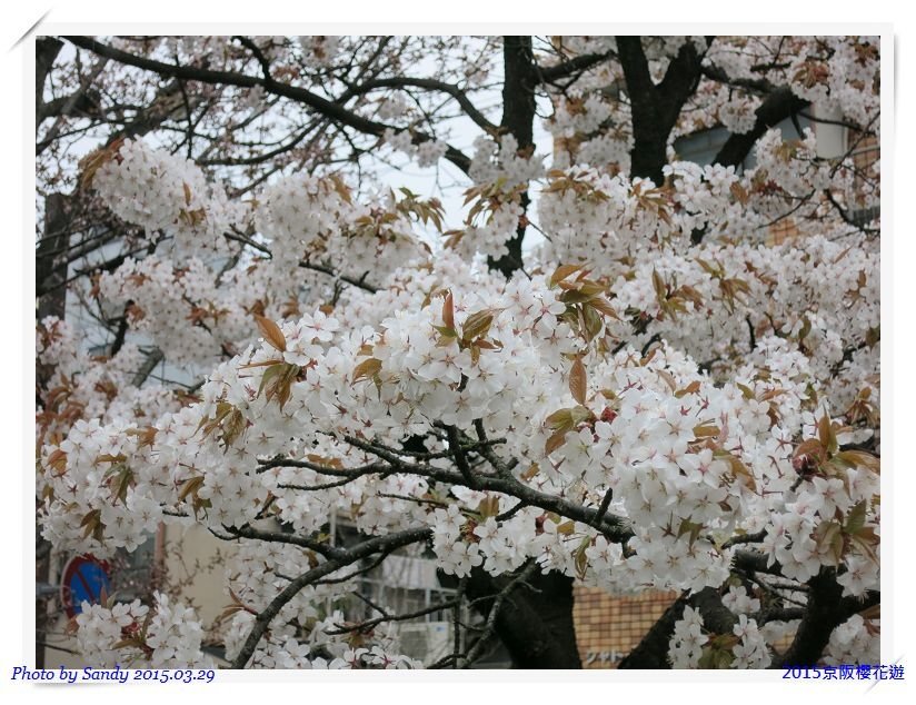nEO_IMG_IMG_5681