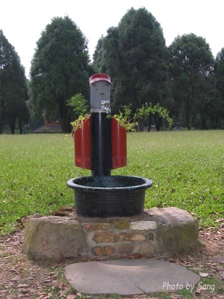 三育基督學院