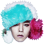 Type C GD.gif