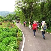 A12-IMG_1511-大溪之往頭寮大埤道路(往水中土地公道路).jpg