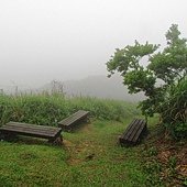 A19-IMG_1787-往九份頌德公園480M處(往小粗坑峰頂110M).jpg