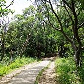 B035-IMGP0870-從瞭望台到五酒桶山步道.jpg