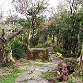 A29-IMGP3845.jpg