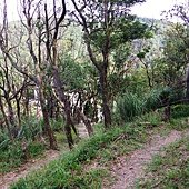 A32-IMGP3855a.jpg